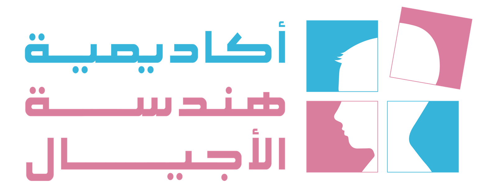 أكاديمية هندسة الأجيال